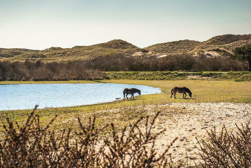 Het Hoekhuisje Egmond aan Zee Extérieur photo